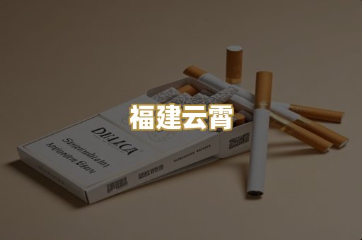 福建云霄